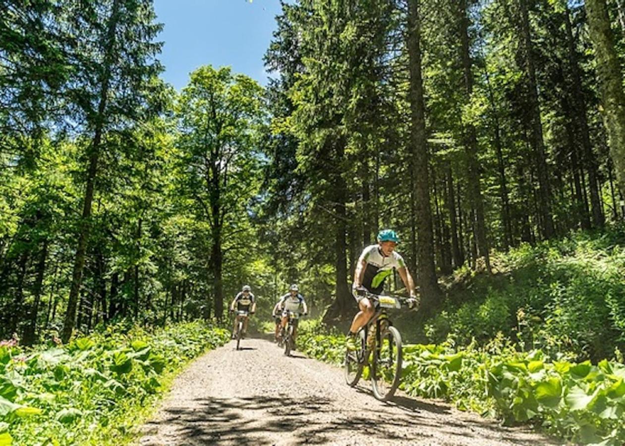 A La Chapelle Titisee Εξωτερικό φωτογραφία