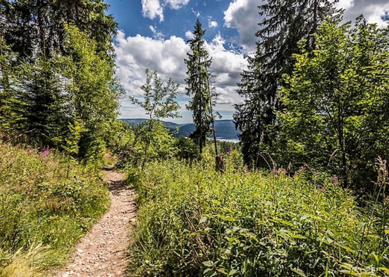 A La Chapelle Titisee Εξωτερικό φωτογραφία